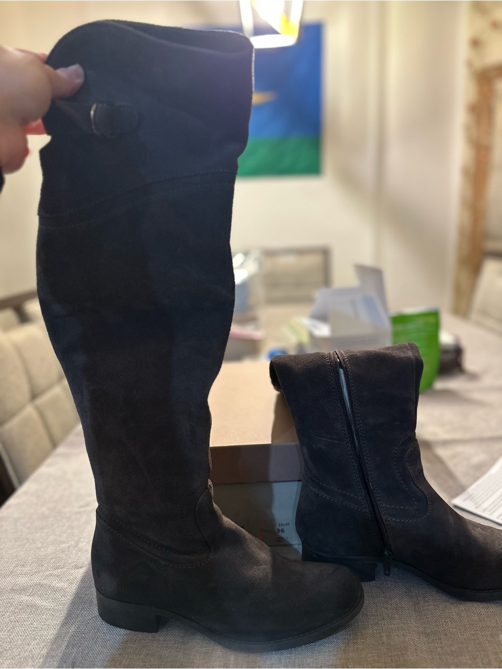 Women’s Over-the-Knee Suede Boots - Brown
